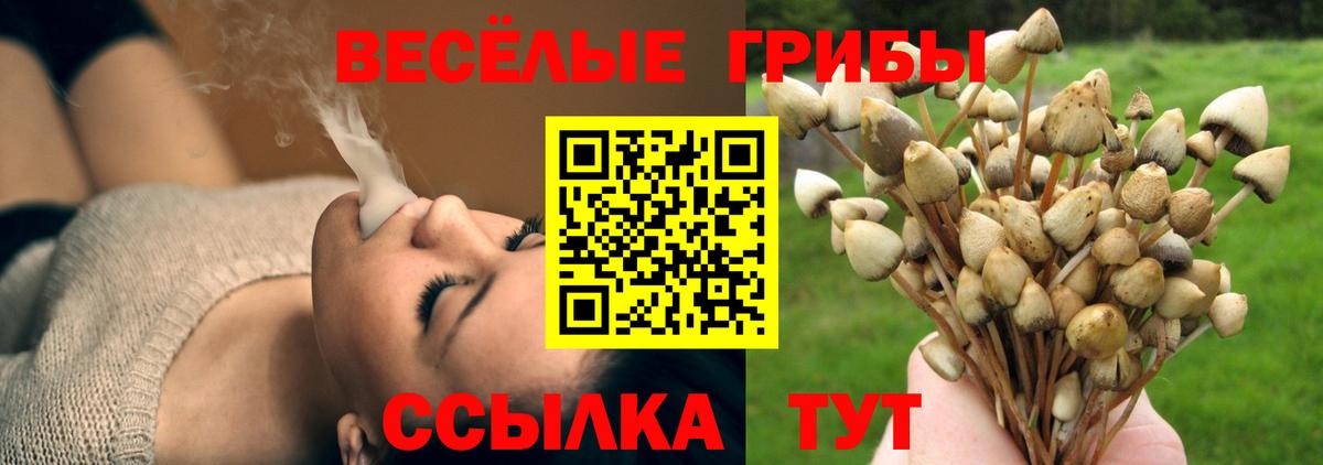 Галлюциногенные грибы Psilocybine cubensis Новый Уренгой